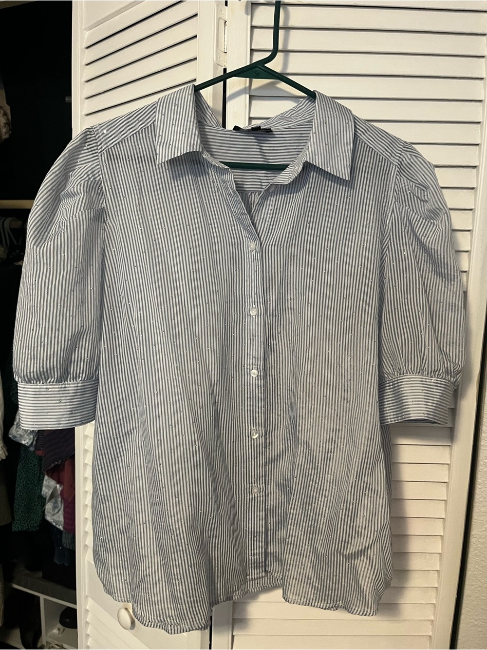 Women's Blue and White Striped Button-Down Shirt